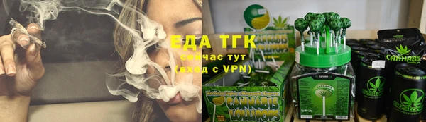 хмурый Каменка