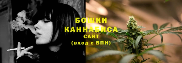 хмурый Каменка