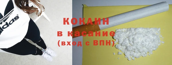 хмурый Каменка