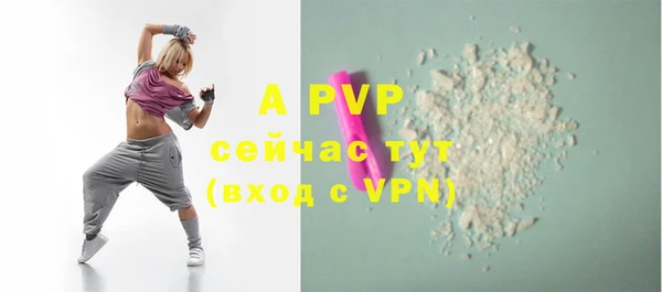 хмурый Каменка