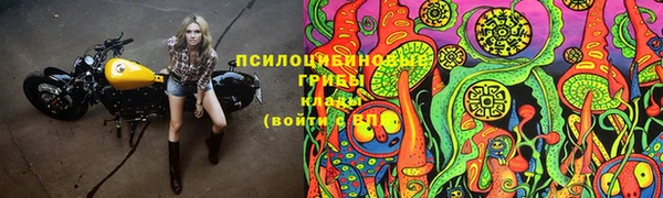 первитин Каменногорск