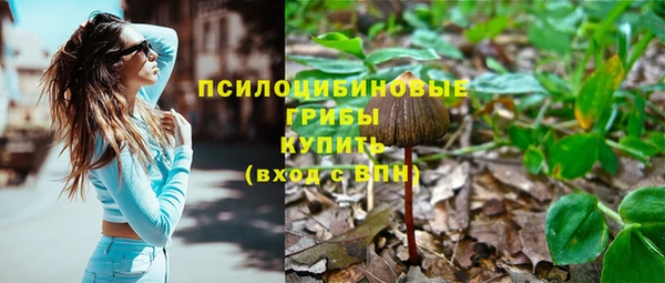 хмурый Каменка