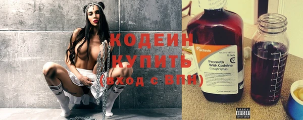 хмурый Каменка