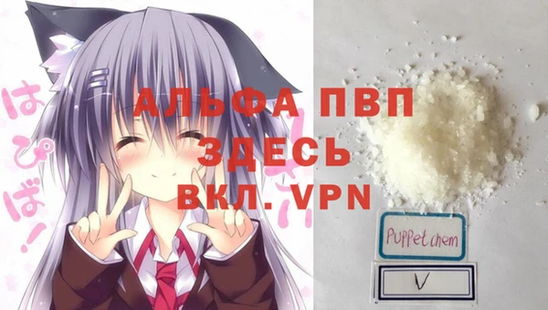 хмурый Каменск-Шахтинский