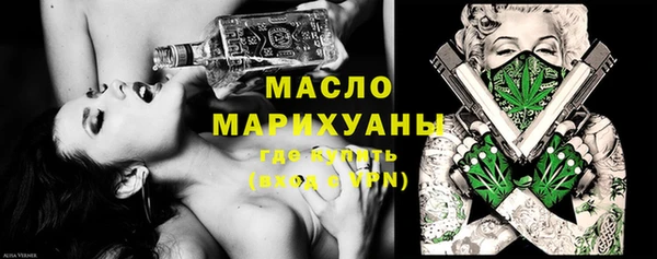 хмурый Каменка