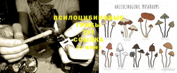 хмурый Каменка